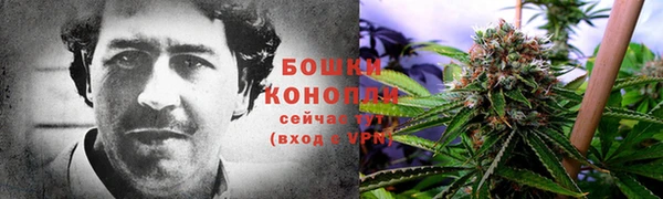 тгк Липки